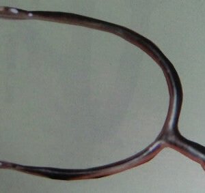 Speroni inox con gambo a goccia decentrato.